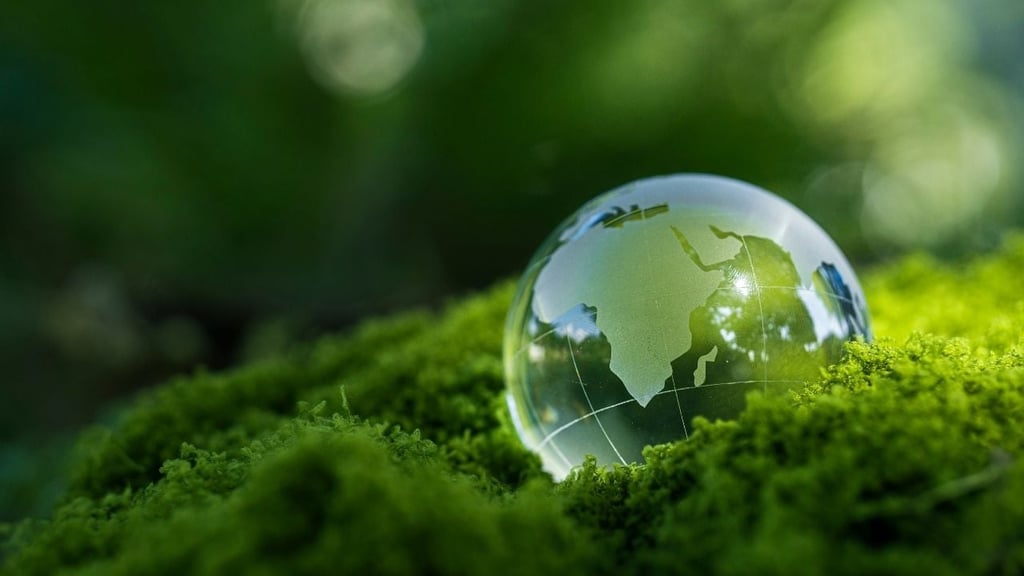 Règles de durabilité : Quel est l’impact du « Sustainability Omnibus » de l’UE ?