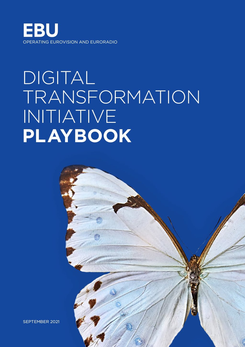 Digital Transformation Initiative Playbook