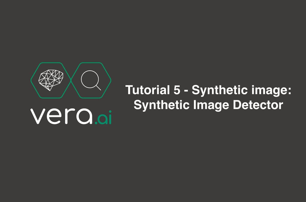 veraAI Tutorial 5: Synthetic image