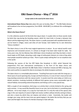 Dawn Chorus - Briefing Document.pdf