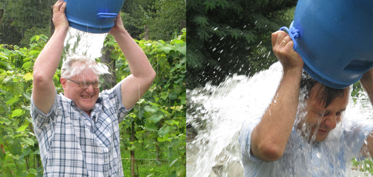 Directors general of Georgia's public broadcasters take 'ice bucket challenge'