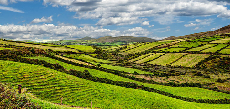 Euroradio's RTÉ celebrates the Emerald Isle in music