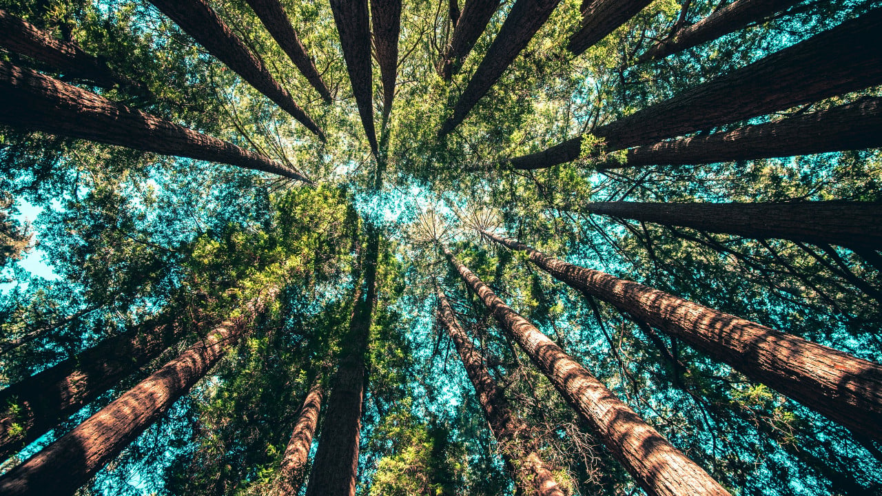 EBU_Strategic_Initiative_Fund_Casey_Horne_Unsplash.jpg